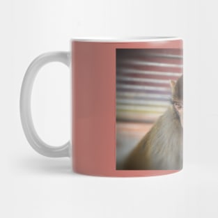 Assamese Monkey Portrait(Nepal) Mug